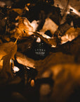 FIRE & OUD Solid Perfume | Agarwood, cedar, smoke