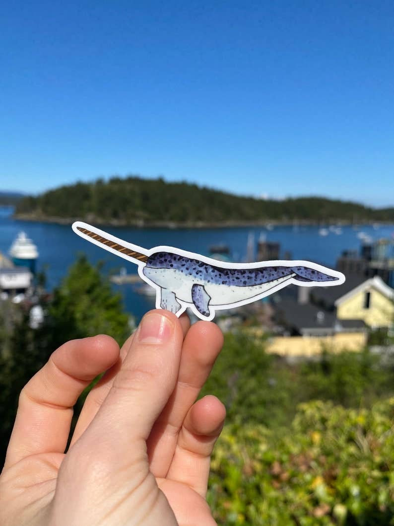 Narwhal Watercolor Sticker