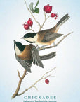 Spiritual Meaning of Birds Oracle Deck by Arin Murphy-Hiscock