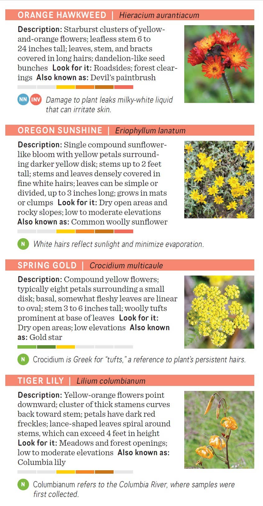 Pacific Northwest Wildflower Pocket Guide
