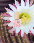 MEZCAL GOLD Perfume Oil: Flora