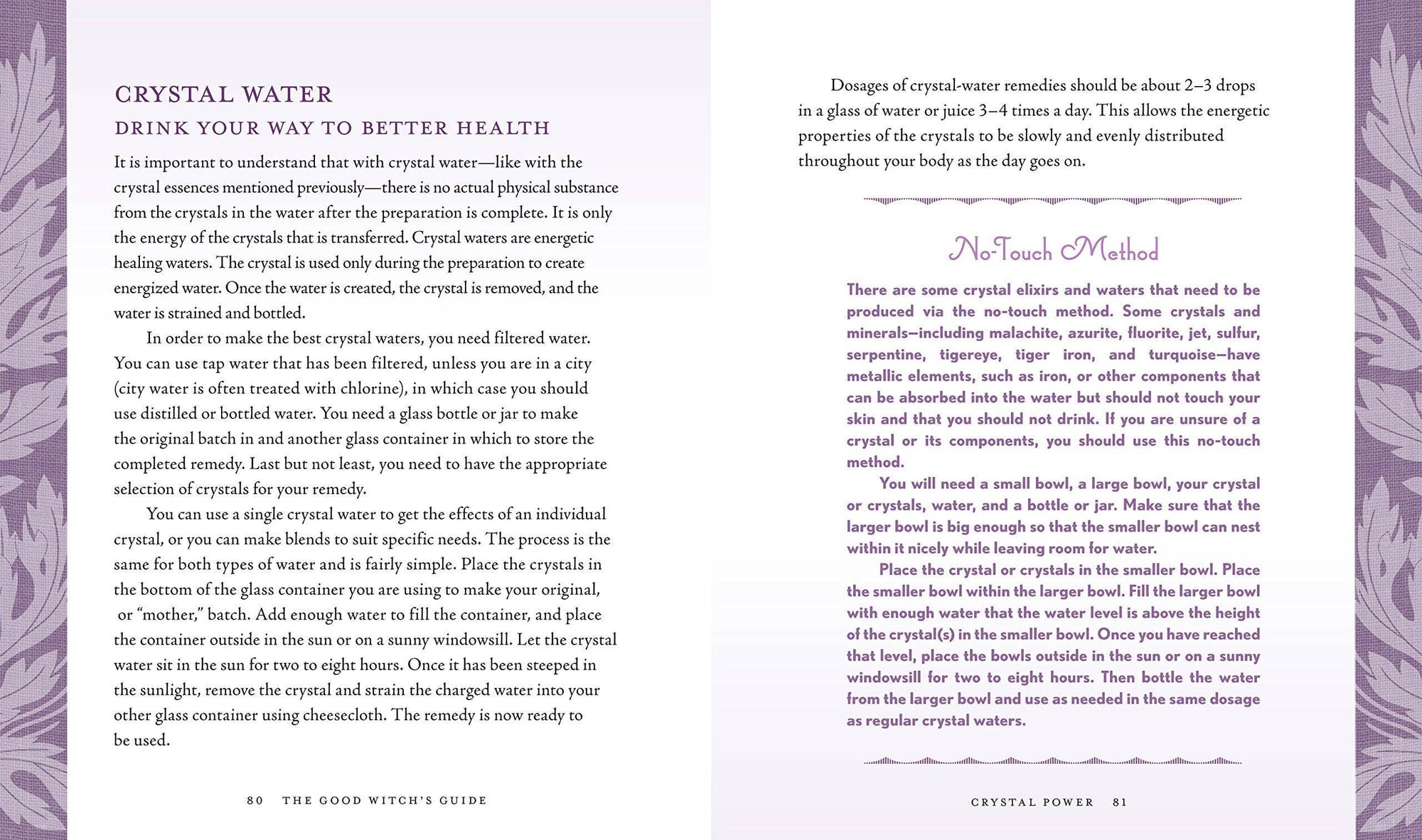Good Witch's Guide by Shawn Robbins