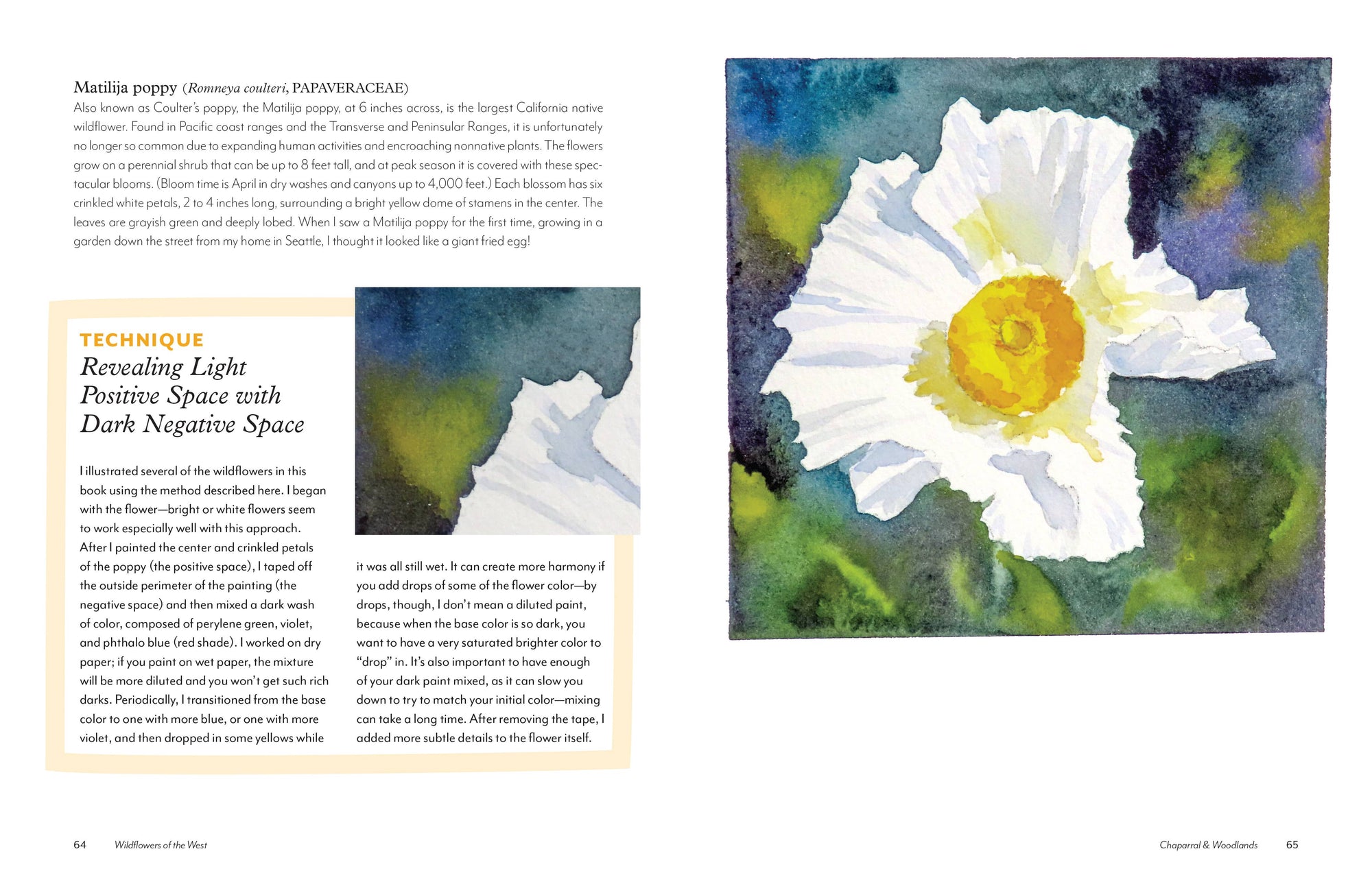 Wildflowers of the West