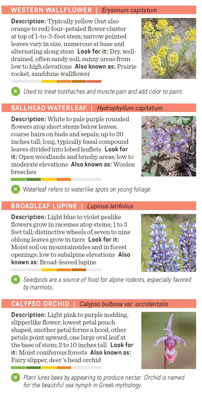 Pacific Northwest Wildflower Pocket Guide