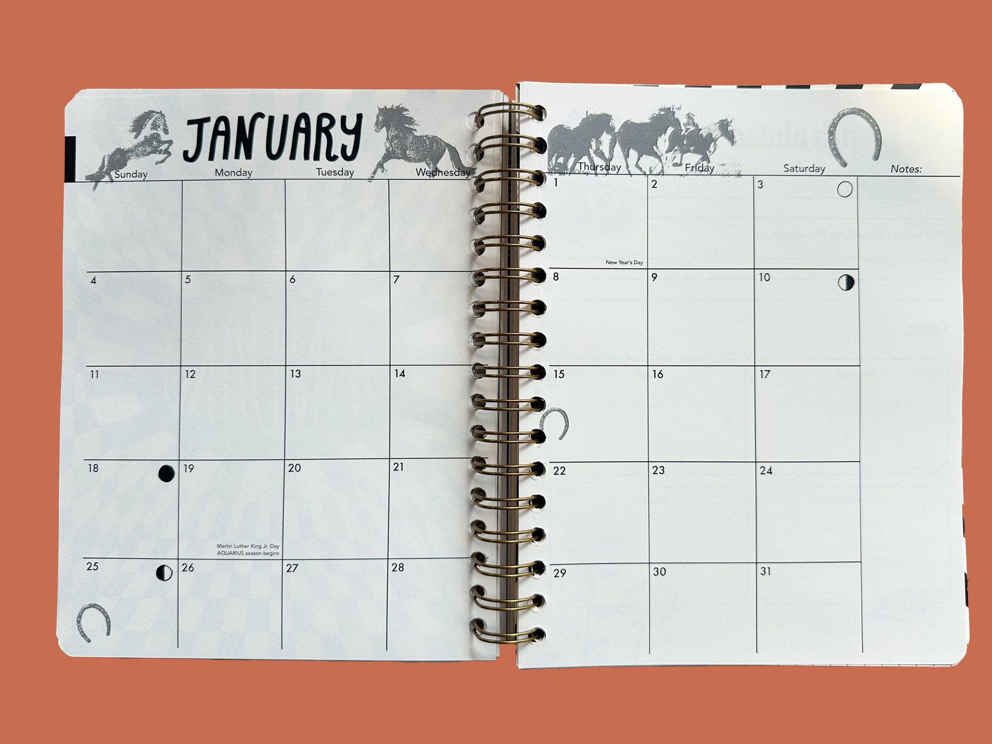 PRE-ORDER | Undated Flexible Planner, Flower Power Cover