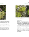 Medicinal Lichens by Robert Dale Rogers
