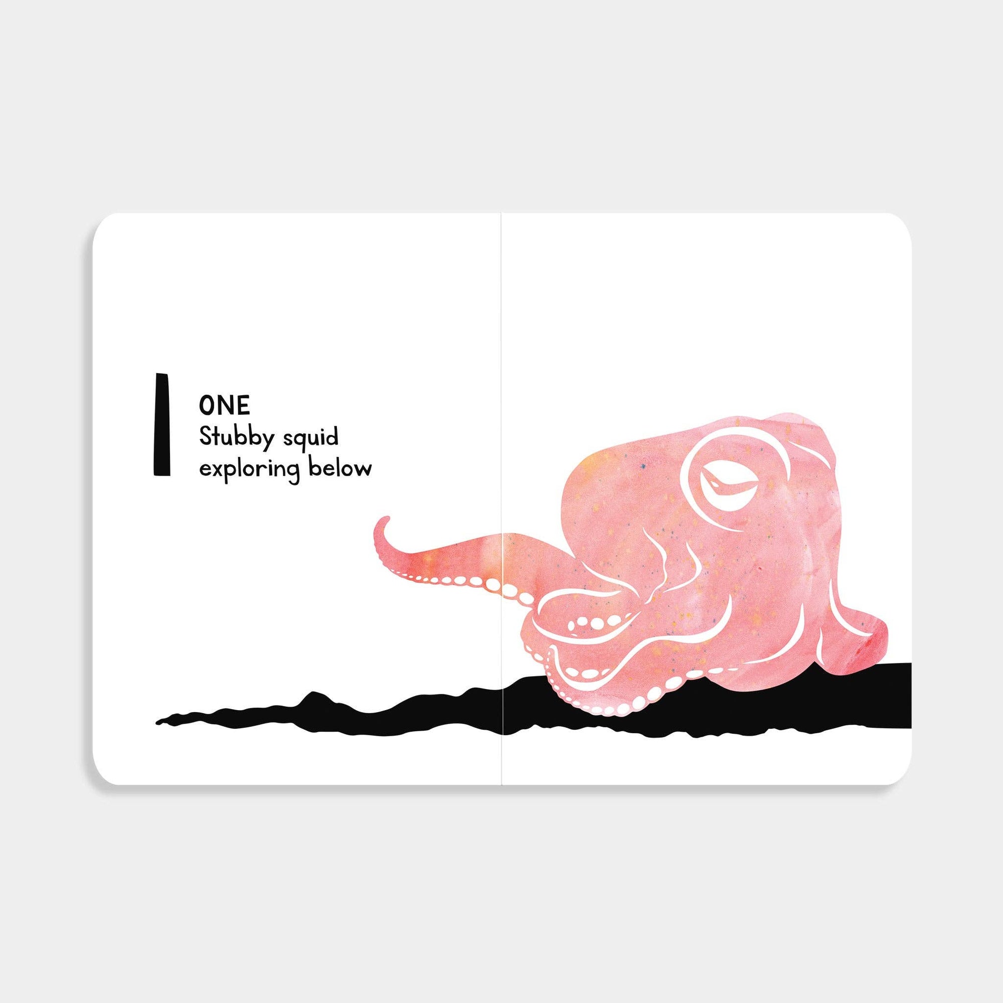1,2,3 Salish Sea: A Counting Book for Toddlers