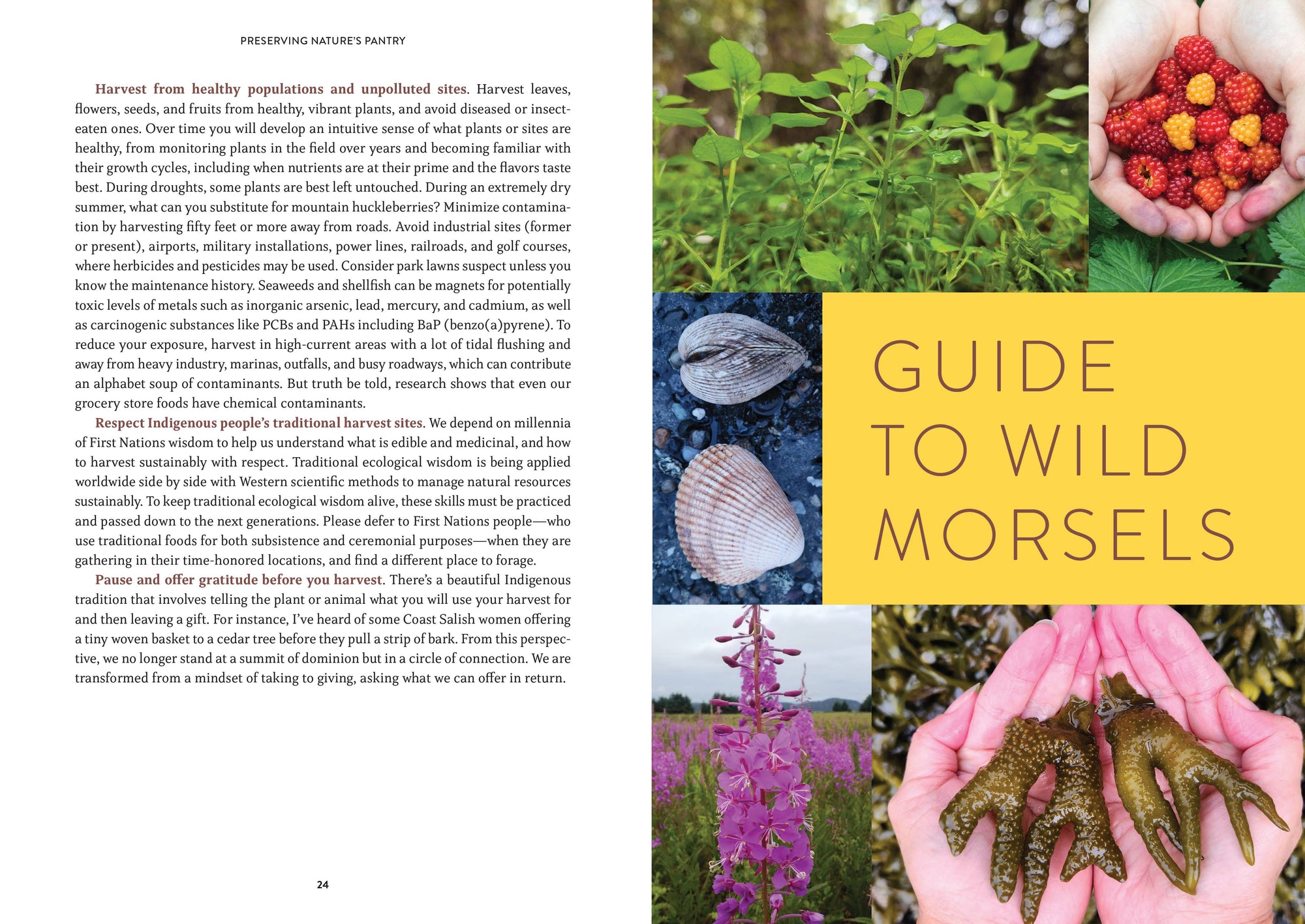 Pacific Harvest: A Northwest Coast Foraging Guide