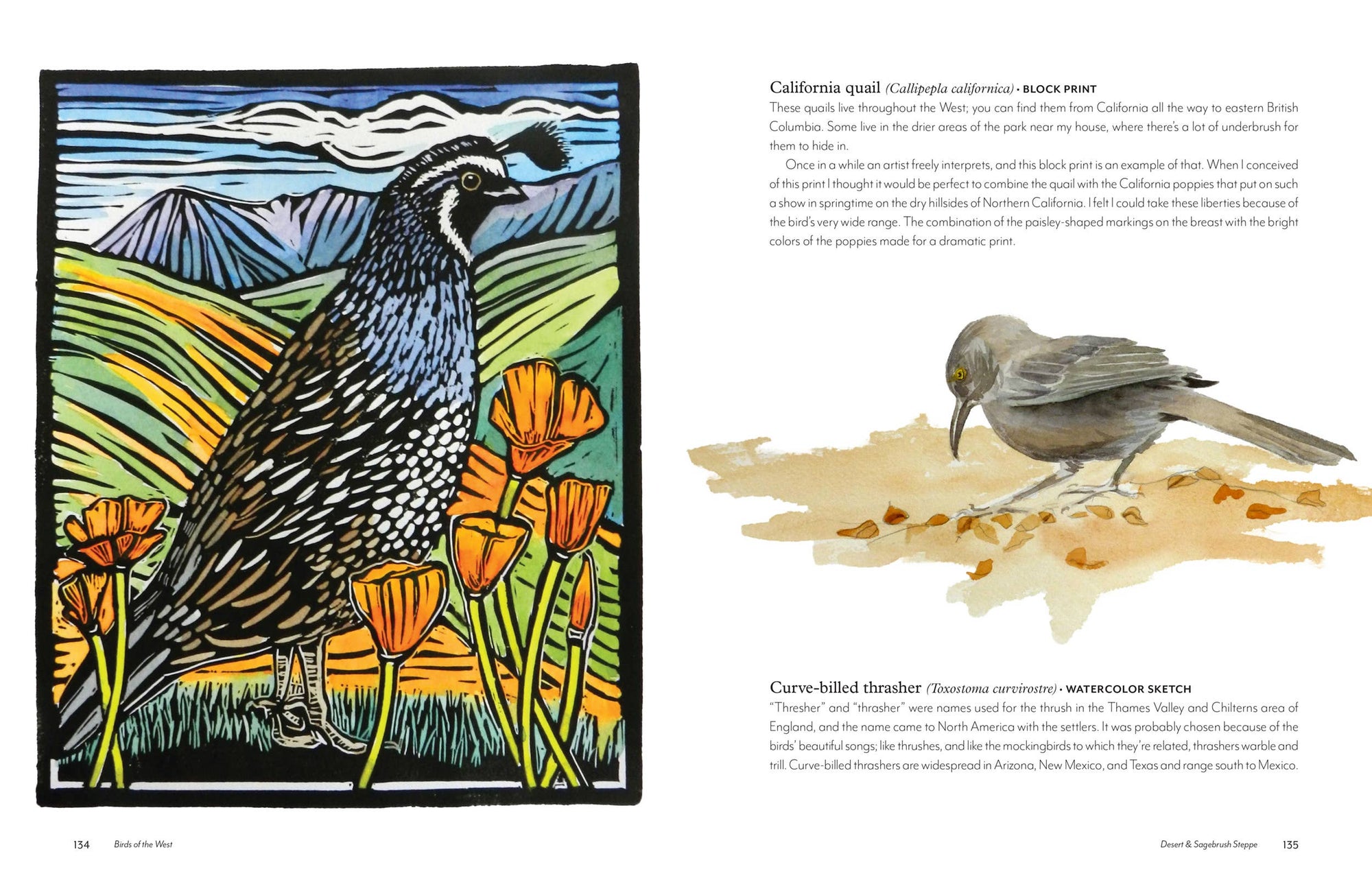 Birds of the West: An Artist's Guide