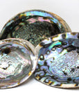 Blue/Green Abalone Seashell - Choose from 4-8"
