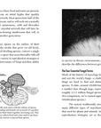 Mycocultural Revolution: Transforming Our World with Fungi