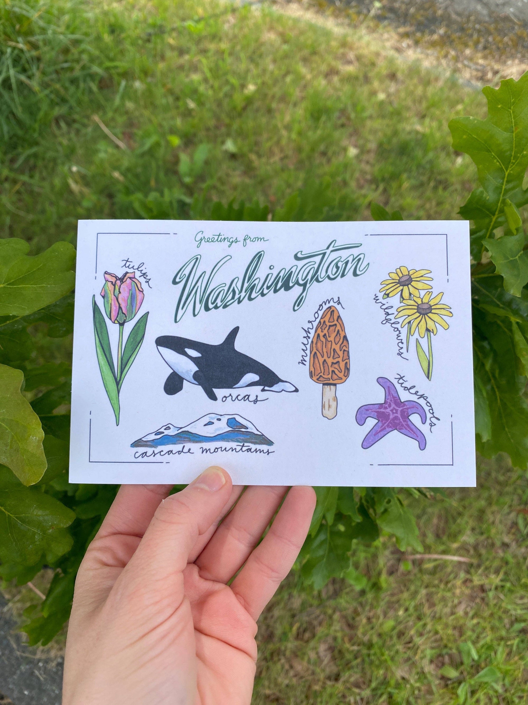 Washington State Postcard | 4&quot; x 6&quot;