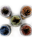 Sea Witch Botanicals - Bulk Incense Refill - Single Scent  300g