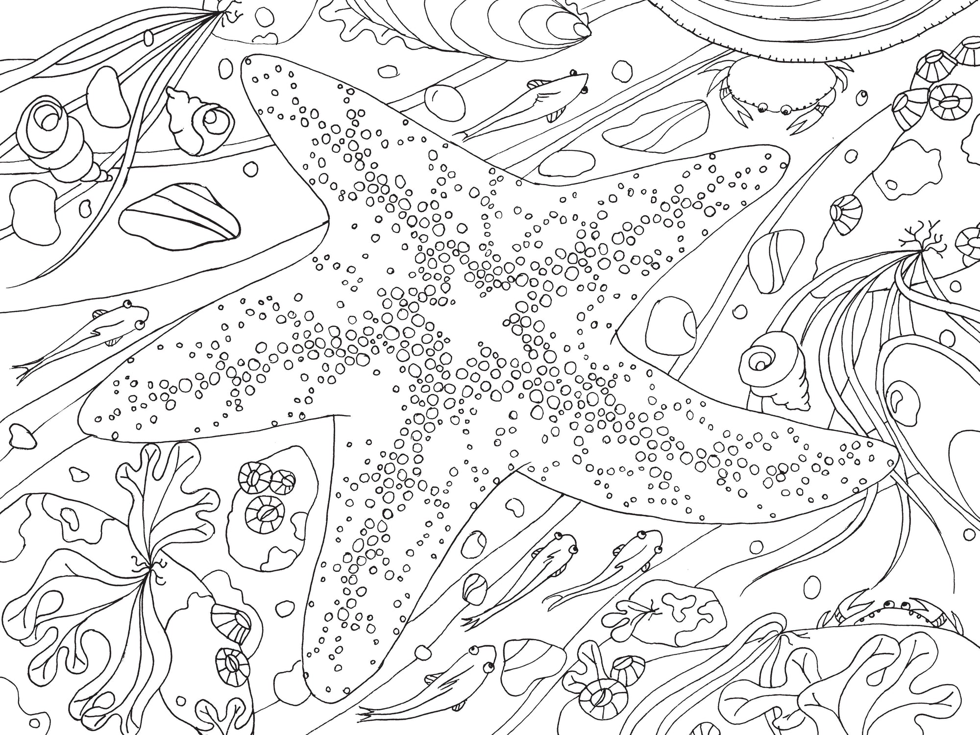 Pacific Northwest Nature Coloring Book