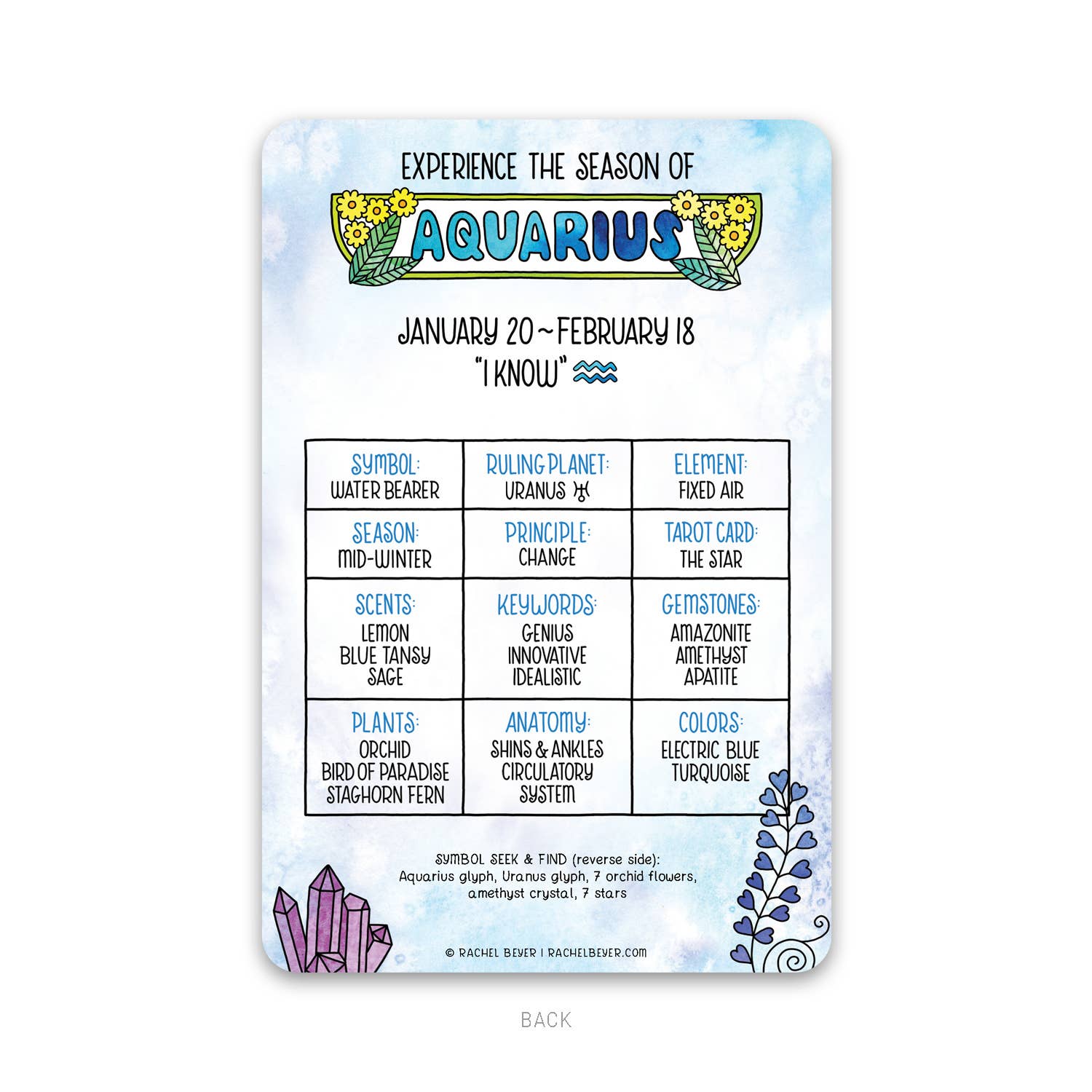 Aquarius Zodiac Mini Art Print