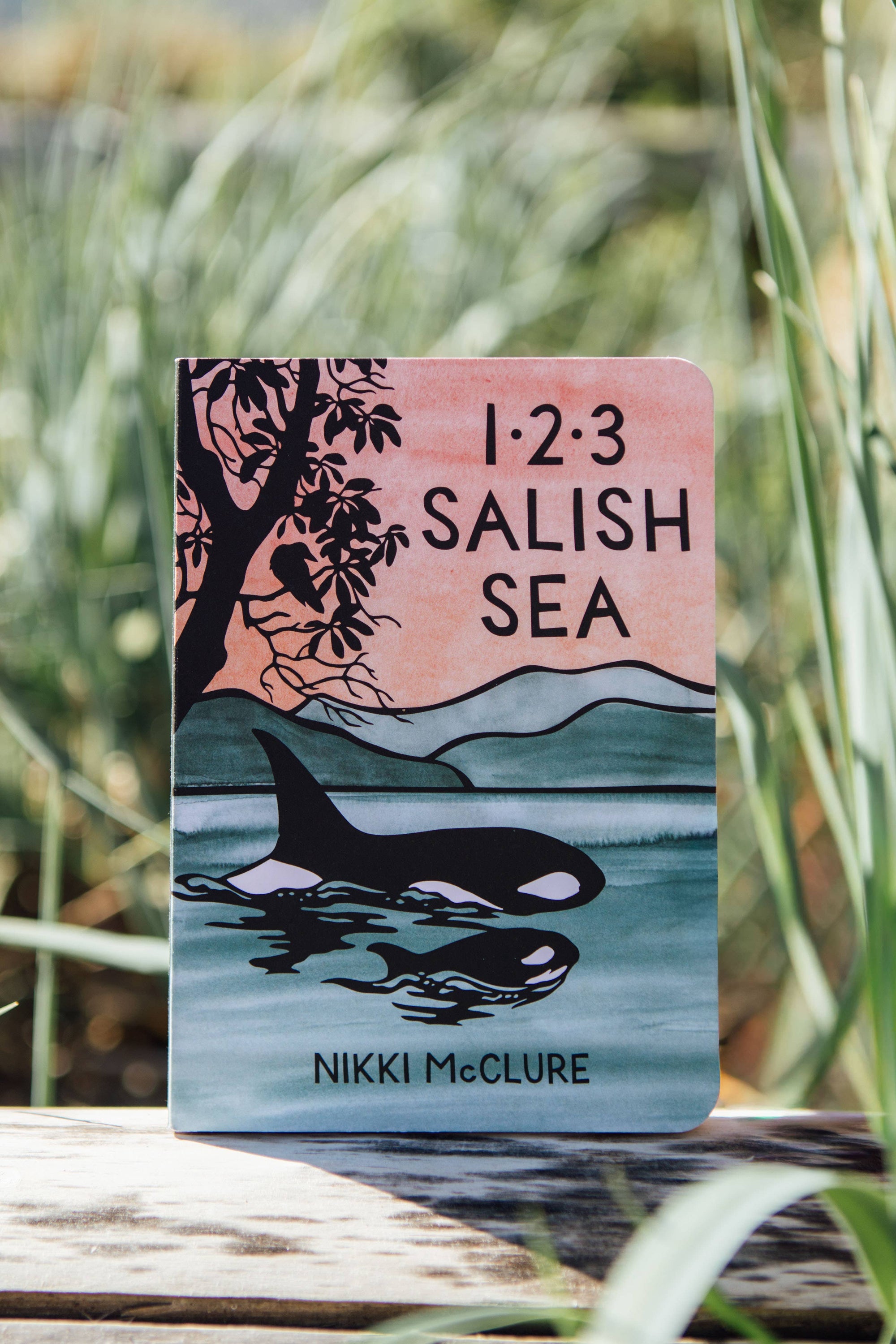 1,2,3 Salish Sea: A Counting Book for Toddlers