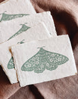 5x7 Seafoam Floral Moth Block Print on Handmade Paper
