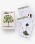 Sibley Tree Identification Flashcards