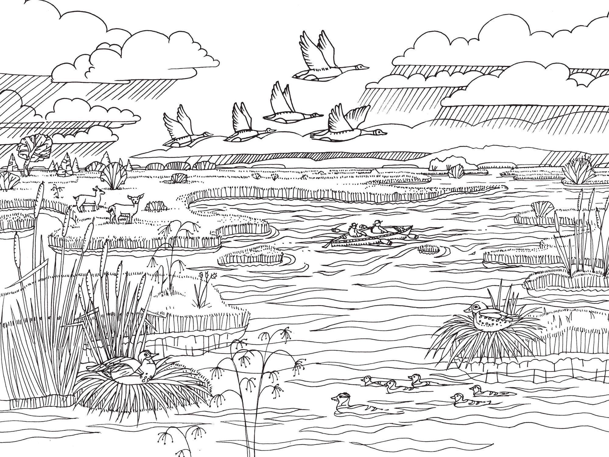 Pacific Northwest Nature Coloring Book