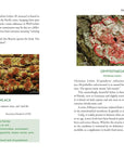 Medicinal Lichens by Robert Dale Rogers