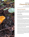 Wild Mushrooms by Kristen Blizzard
