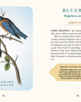 Spiritual Meaning of Birds Oracle Deck by Arin Murphy-Hiscock