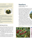 Edible Plants of the Pacific Northwest