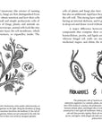 Mycocultural Revolution: Transforming Our World with Fungi
