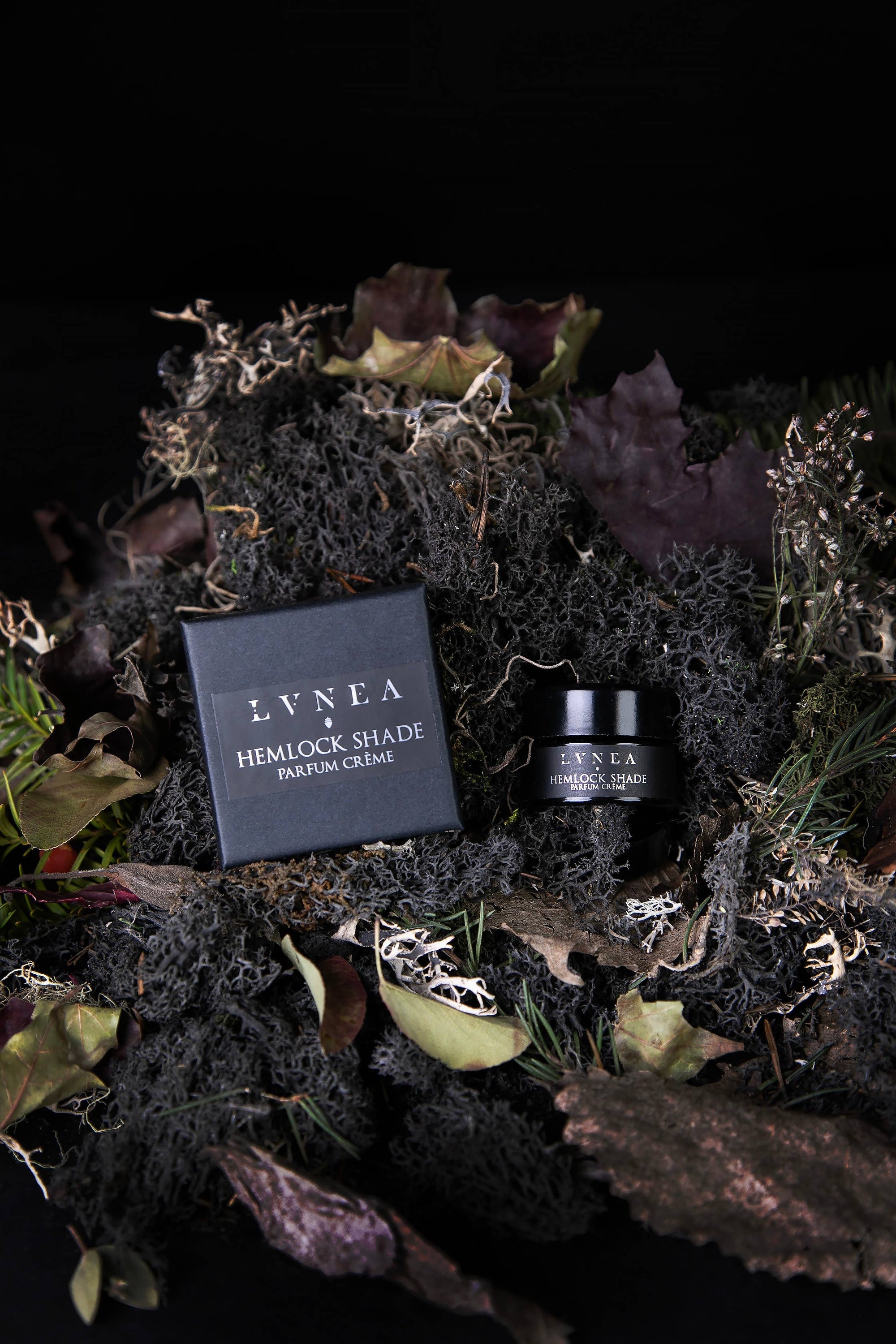 HEMLOCK SHADE Solid Perfume | Hemlock, black spruce, vetiver
