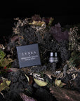 HEMLOCK SHADE Solid Perfume | Hemlock, black spruce, vetiver