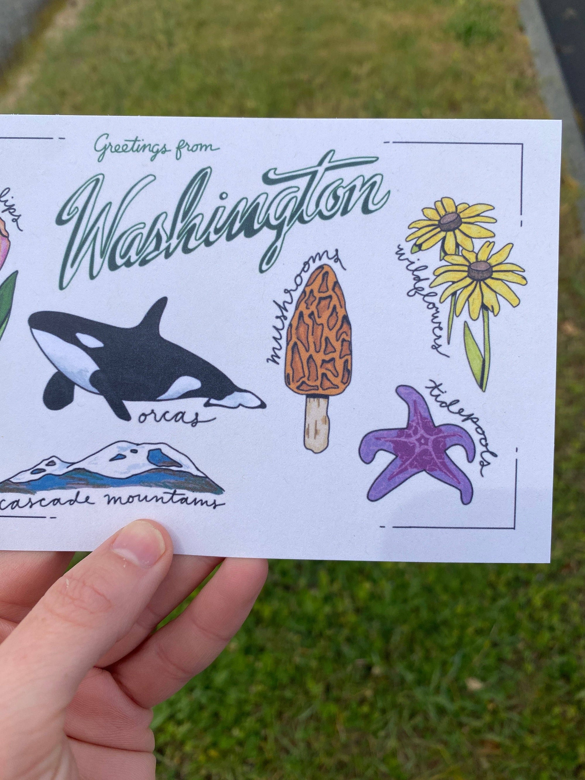 Washington State Postcard | 4&quot; x 6&quot;