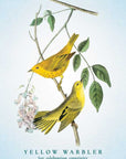 Spiritual Meaning of Birds Oracle Deck by Arin Murphy-Hiscock
