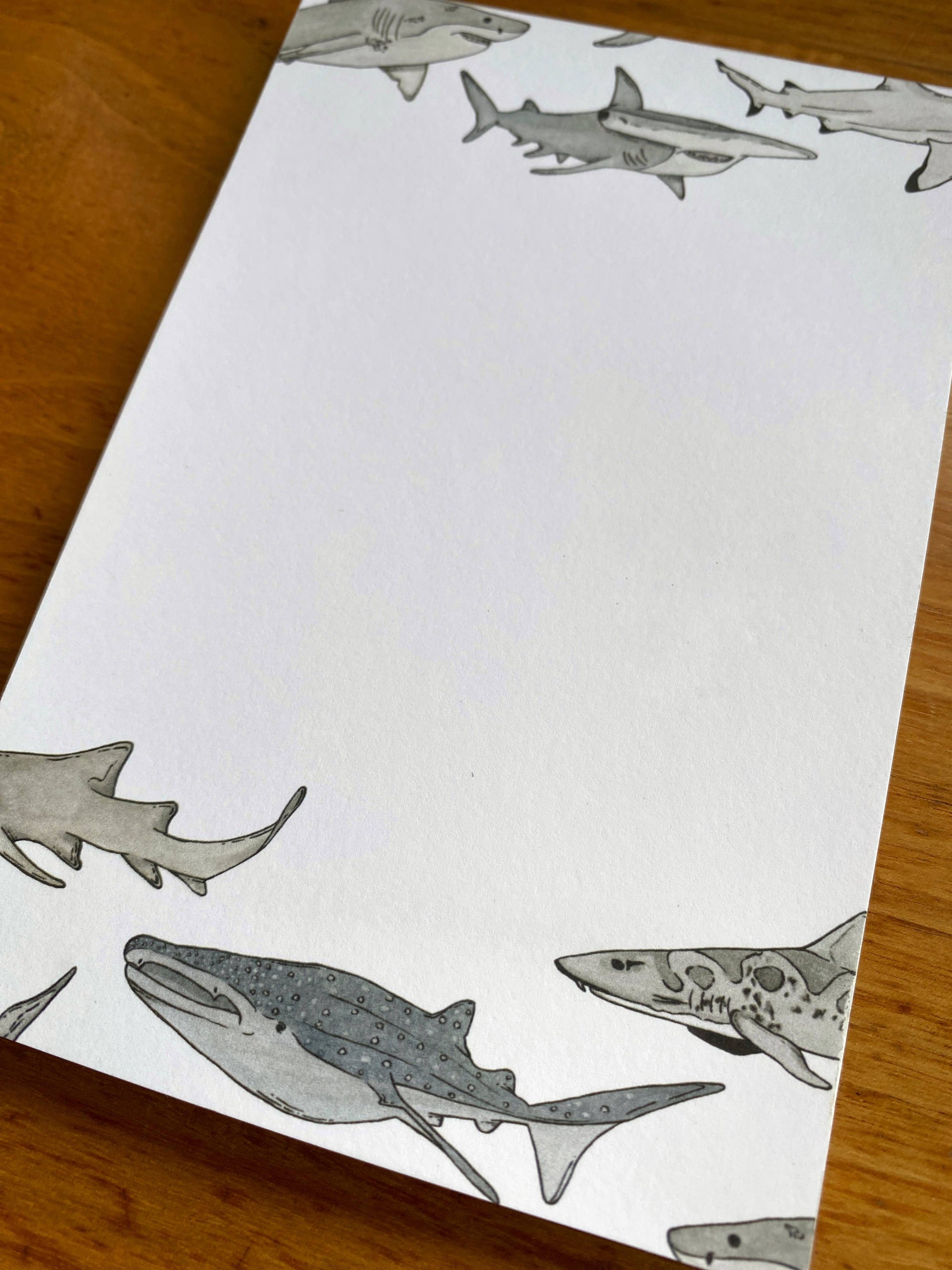 Illustrated Shark Market Notepad