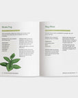 The Little Encyclopedia of Herbal Medicine: Herbal Remedies
