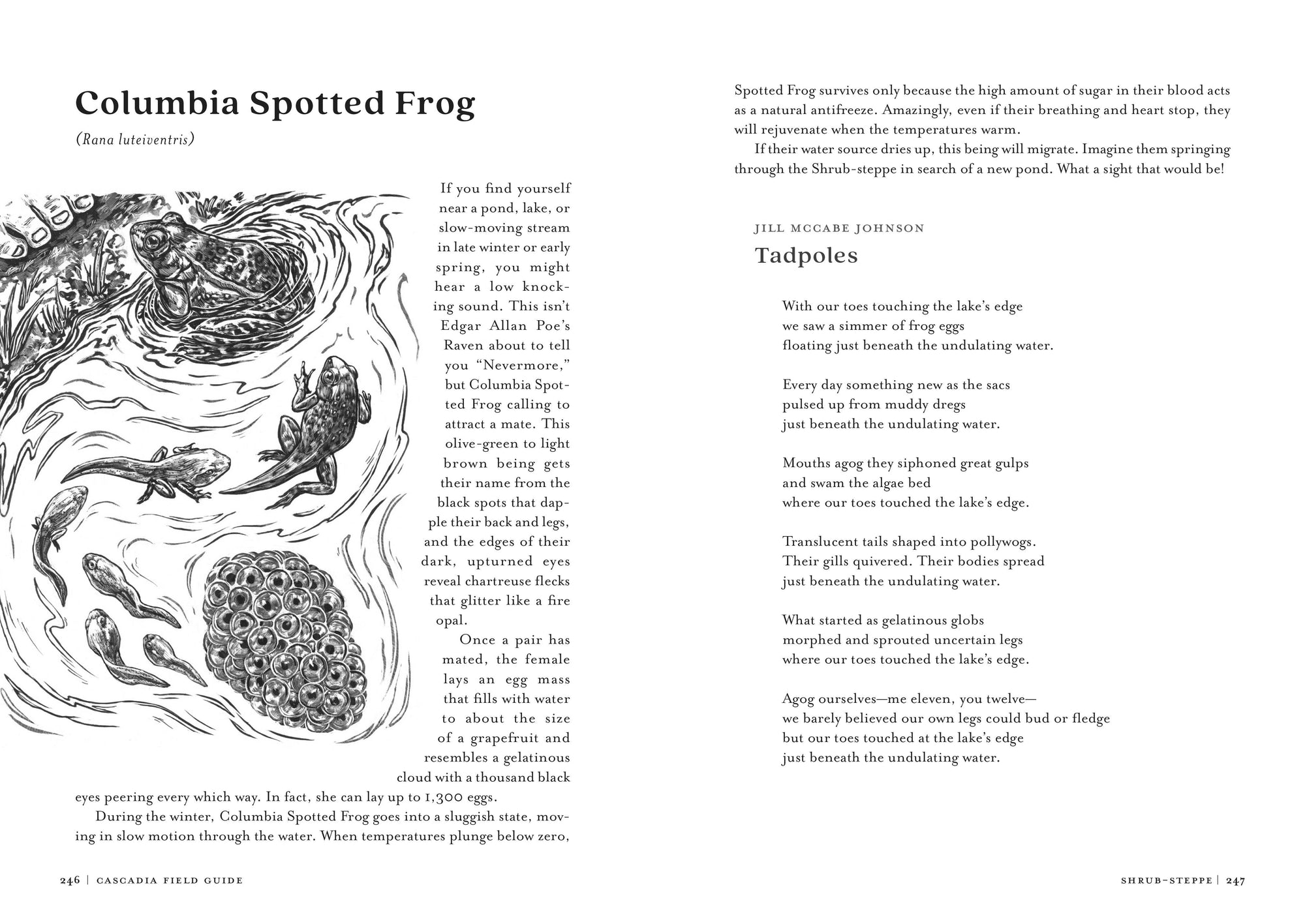 Cascadia Field Guide