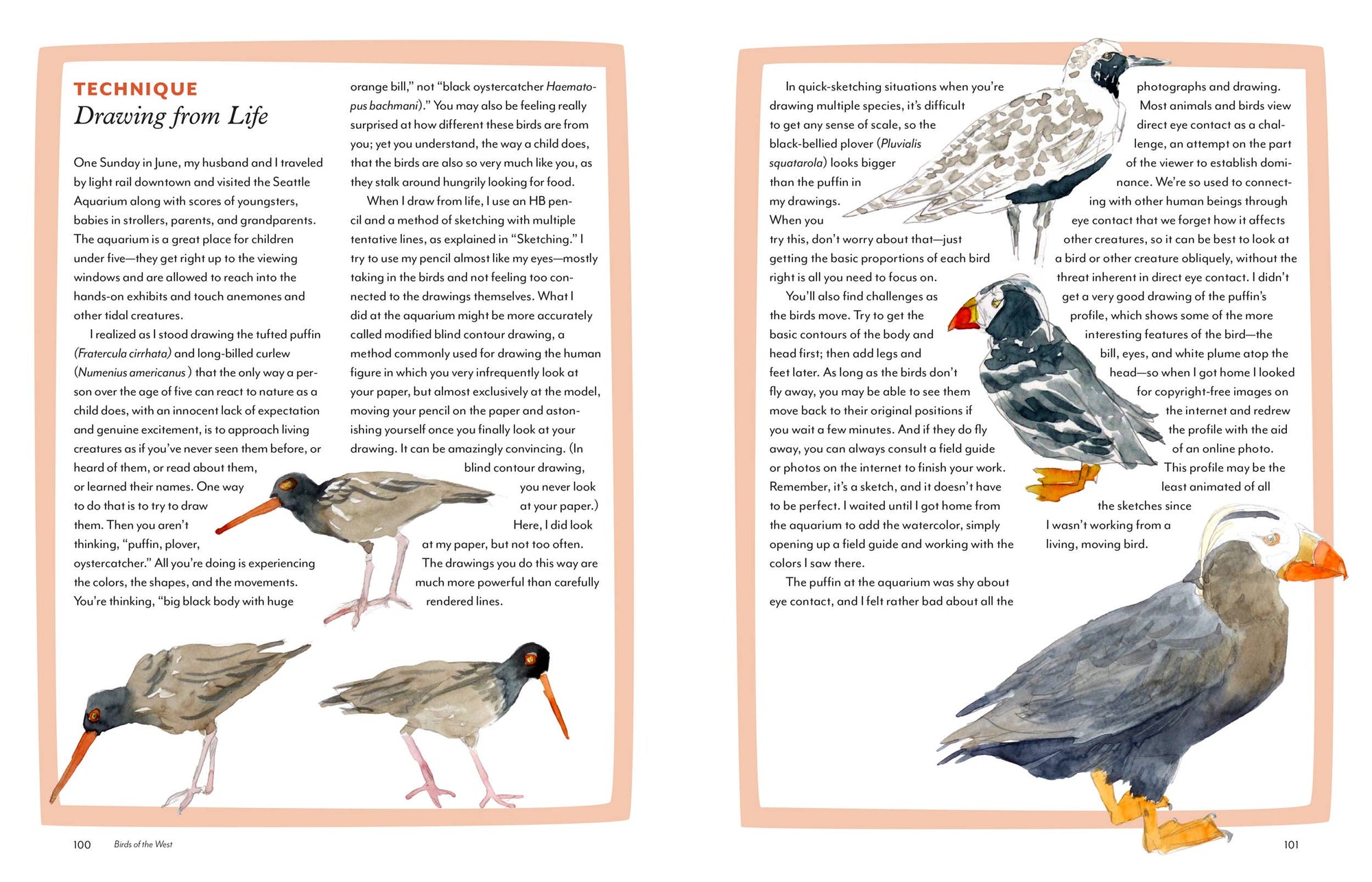 Birds of the West: An Artist's Guide