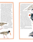Birds of the West: An Artist's Guide