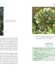 Medicinal Lichens by Robert Dale Rogers
