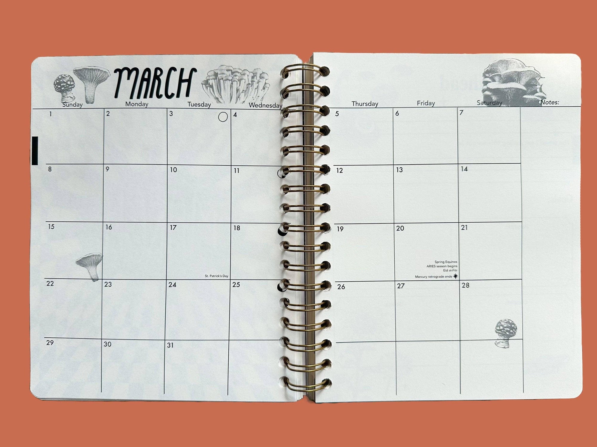 PRE-ORDER | Undated Flexible Planner, Flower Power Cover