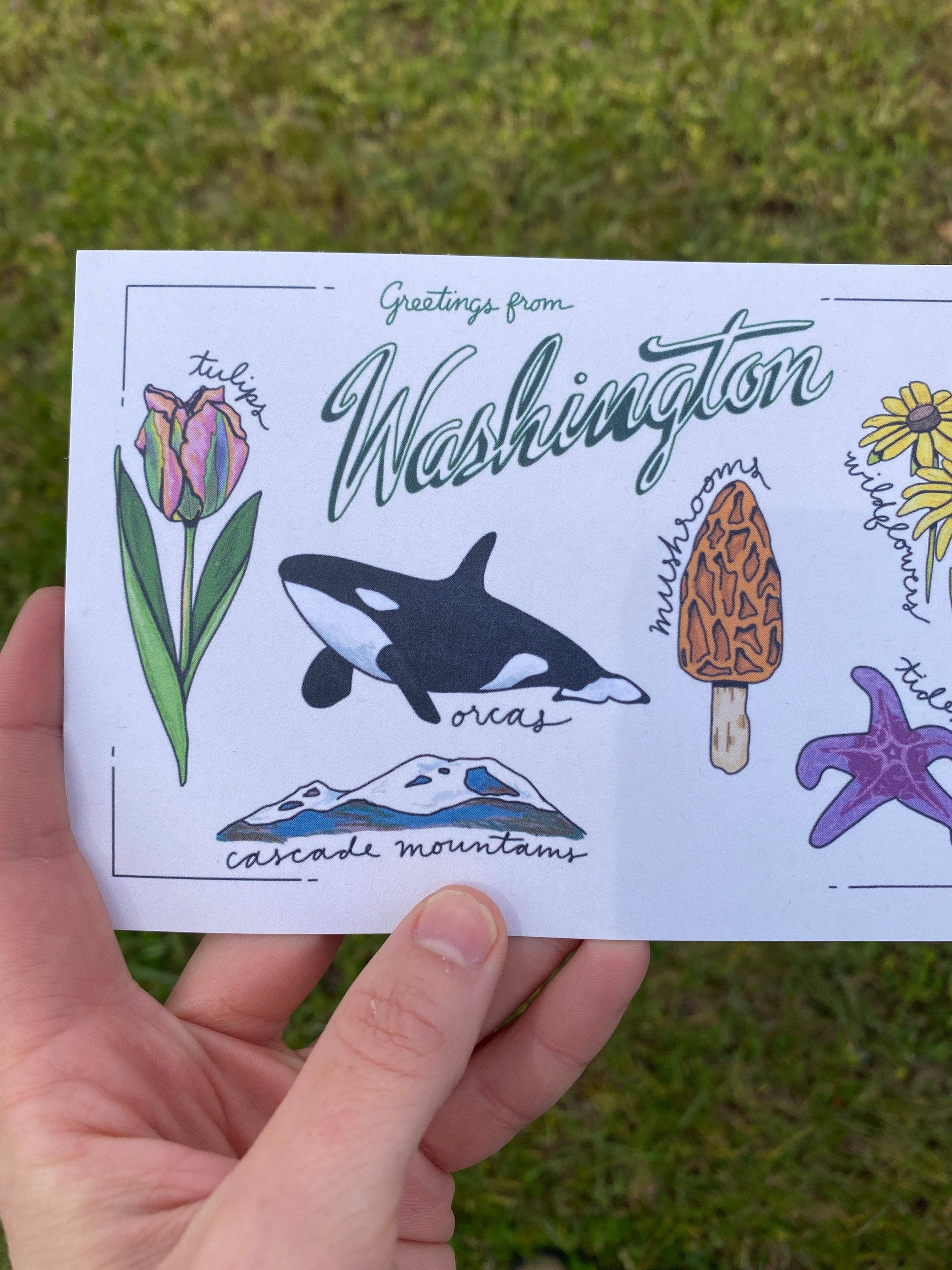 Washington State Postcard | 4&quot; x 6&quot;