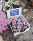 Keyring Flower Press - Pinks & Blues