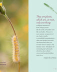 The Generosity Of Plants