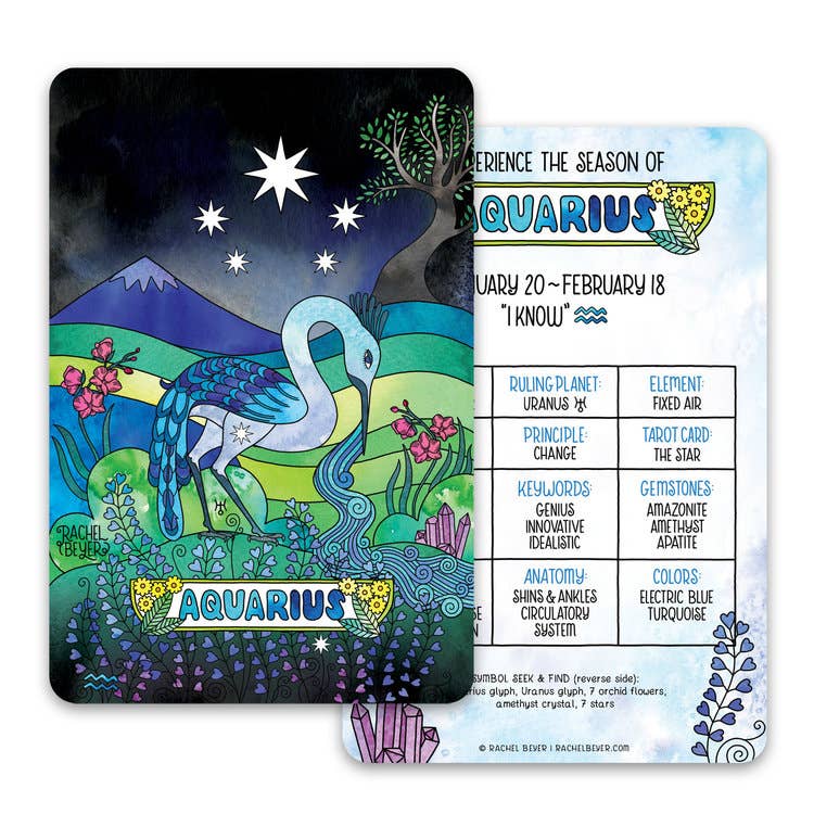 Aquarius Zodiac Mini Art Print