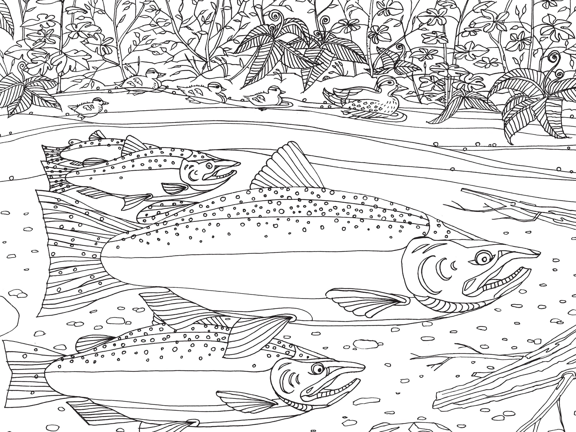 Pacific Northwest Nature Coloring Book