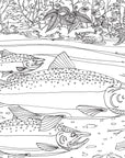 Pacific Northwest Nature Coloring Book