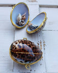 Tiger Cowrie Seashell Coin Purse - Shell Box