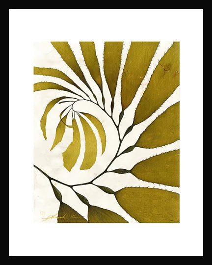 Seaweed Pring