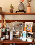 Aroma Alchemy: Essential Oils for Mind, Body and Home