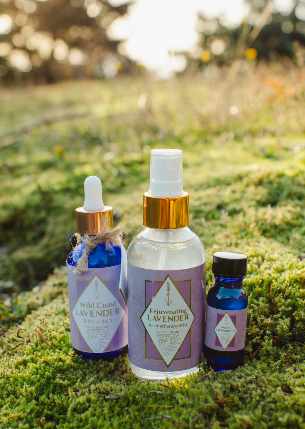 lavender oil for plants Salty at Heart Lavender Essential Oil