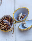Tiger Cowrie Seashell Coin Purse - Shell Box